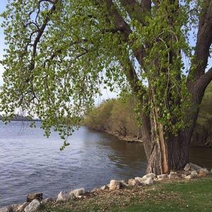 Meet your Posher, Alisa